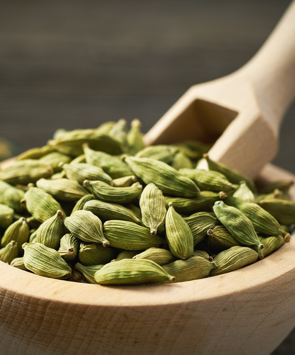 Green cardamom pods