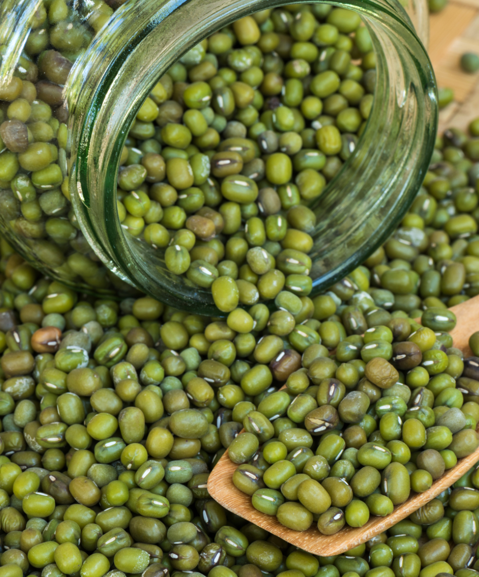 Green mung beans in bulk